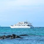 Anahi Yacht Catamaran sailing in the Galapagos Islands