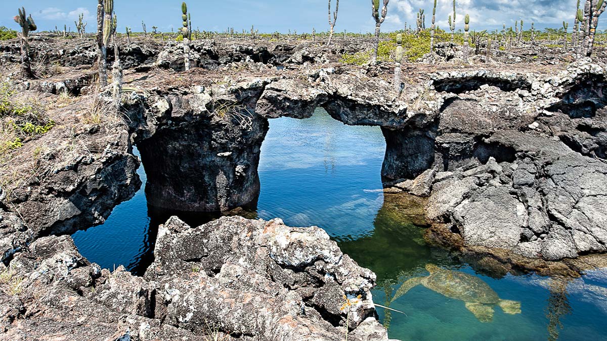 Los Túneles. Lava Tunels. Snorkel en las Islas Galápagos. Snorkeling in Galapagos Islands.